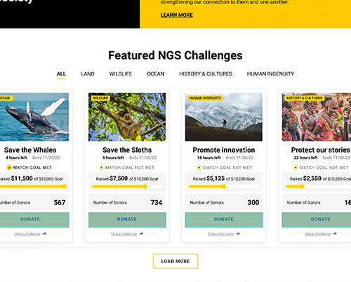 National Geographic – Campaign Grid